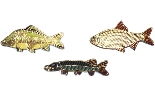 Mirror carp roach pike - carp,,