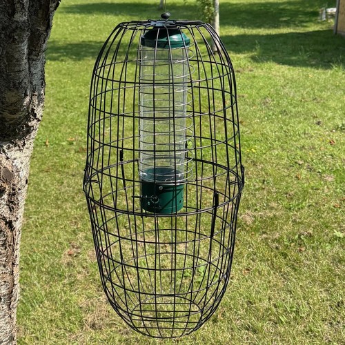 Large squirrel proof hanging - squirrel,
