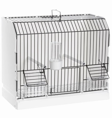 Plastic transport box - transport, /
