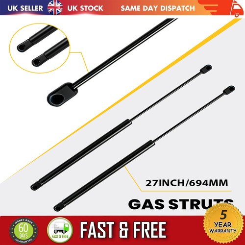 Tailgate boot gas struts - tailgate,