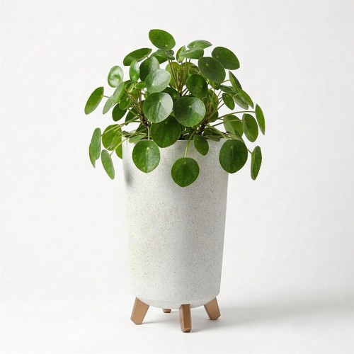 Tall plant pot with legs - with,