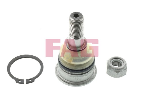 825 0229 fag ball - fag, joint