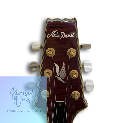 Aria pro electric guitar - aria, ii