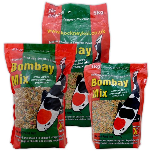 Yamitsu kockney koi bombay - yamitsu,