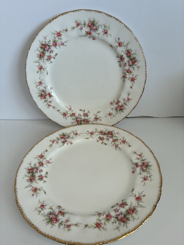 Paragon royal albert - x,