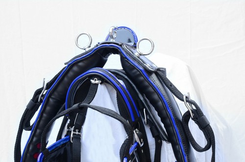 Nylon webbing horse harness - webbing,