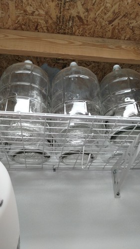 Used gallon glass - used, carboys