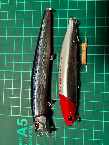 Tackle house sea bass lure - tackle,