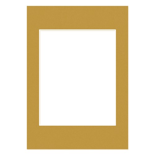 Antique gold picture - picture, mounts