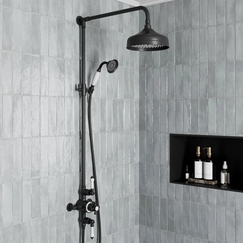 Traditional thermostatic dual - thermostatic,
