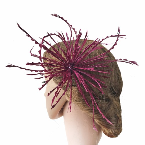Colours goose biot feather - goose,