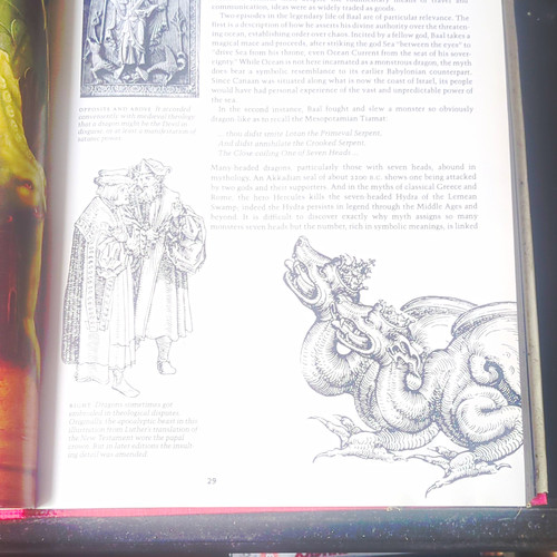 Sean kelly dragons hardcover - sean,