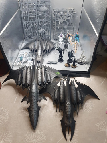 Drukhari dark eldar army - eldar, job