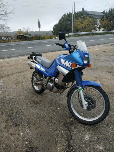 Yamaha xtz660 tenere engine - xtz660,