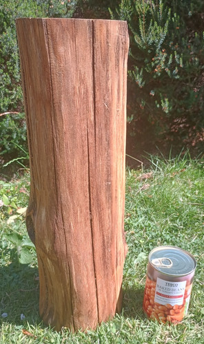 Tree stump table hardwood - , log