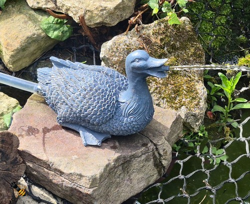Pond spitter duck garden water - pond,