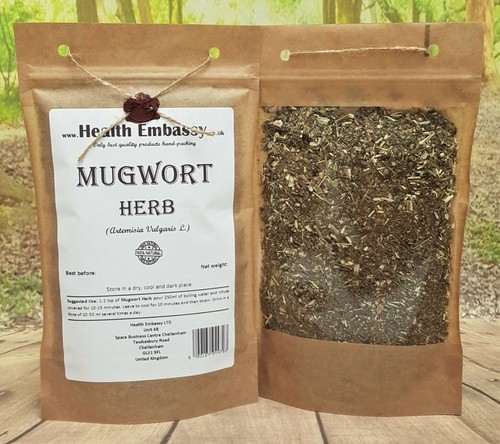 Mugwort herb tea artemisia - herb,