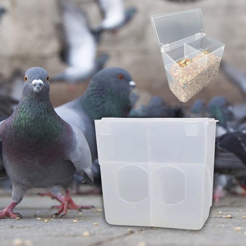 Automatic pigeon bird feeder - bird,