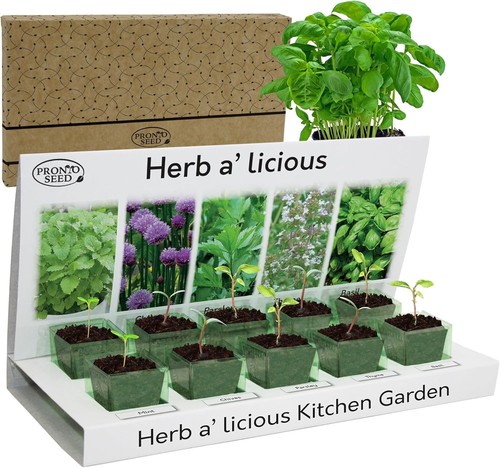 Herb seeds grow - |, your