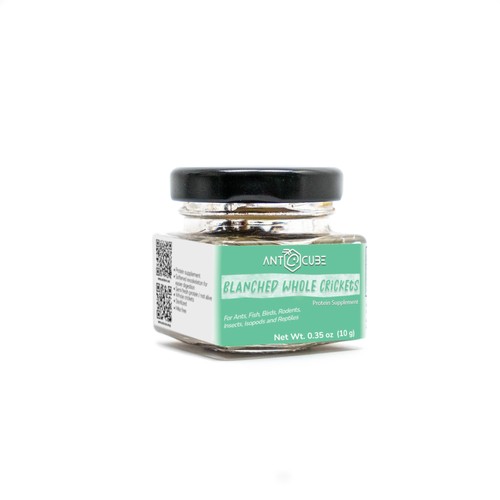 Ants blanched crickets - blanched,