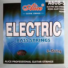Electric Bass Guitar 5 String
