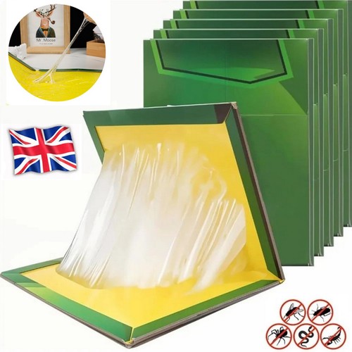 50x pest trap - 10~50x, glu