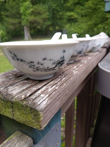Set vtg chinese plum - 4,