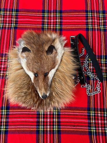 Men scottish fox face - scottish,