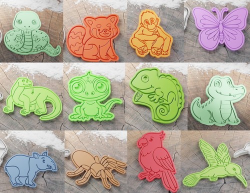 Jungle rainforest cookie - jungle,