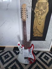 12 String Custom Paint Strat
