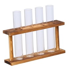 Glass Test Tube, Terrarium