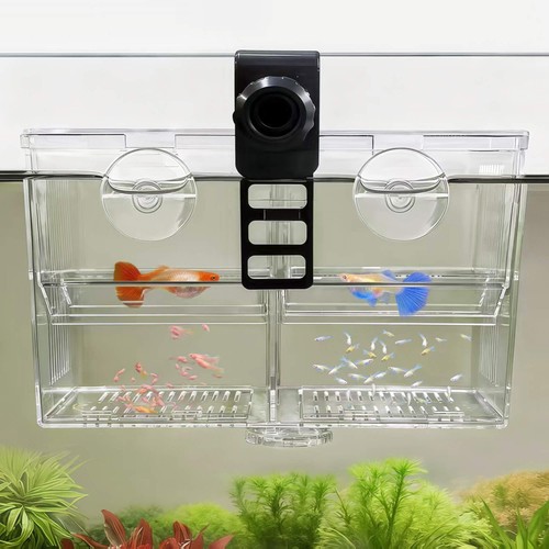 Dual chamber aquarium - dual-chamber,