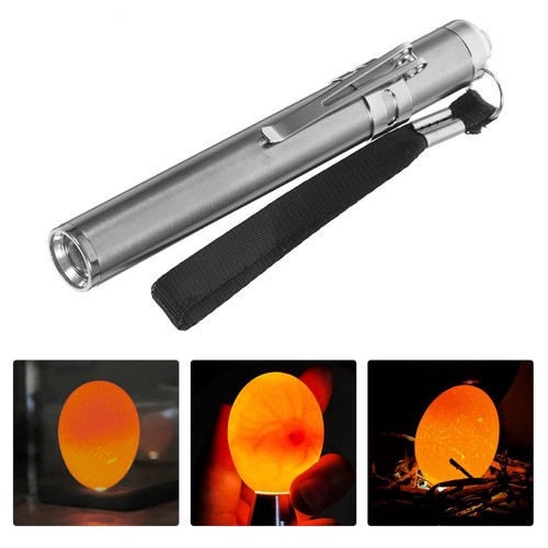 Egg candling flashlight - egg,