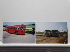 Vintage Photos Of Buses x10