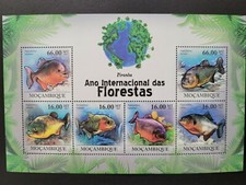 Mozambique 2011 / Tropical