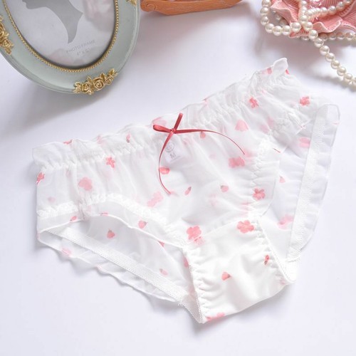 Womens chiffon sheer panties - sheer,