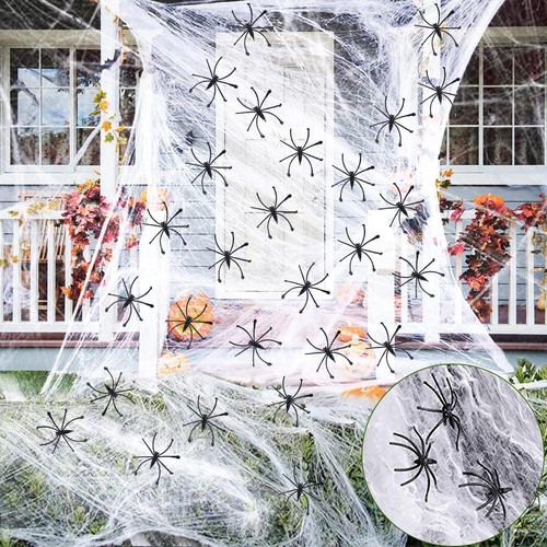 Spider web with - spider, spiders