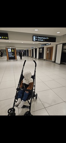 Graco transform pram - graco,