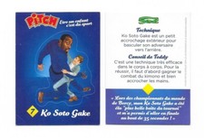 Pitch Card - Teddy Riner -