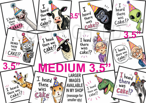 Medium funny birthday card - 12,
