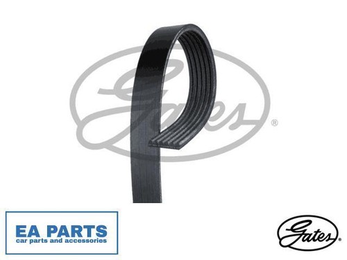 Ribbed belt for - v-ribbed,