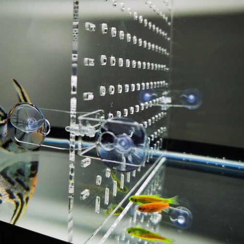 Clear acrylic fish tank - acrylic,