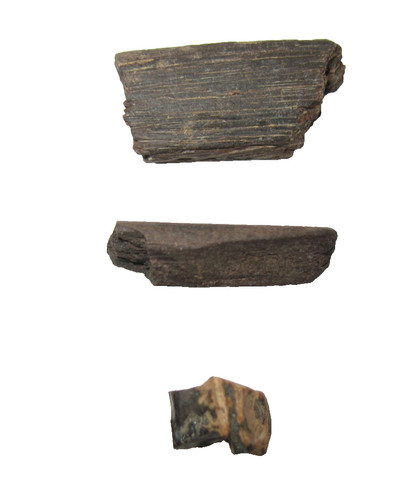 Cretaceous hell creek - cretaceous,