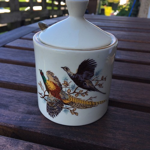 Vintage west highland pottery - vintage,