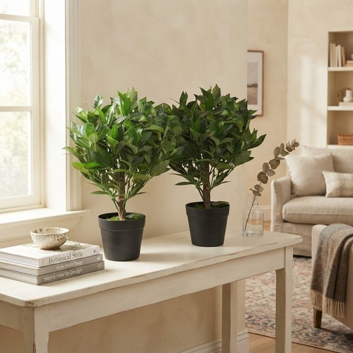 Elegant pair 50cm - pair, of