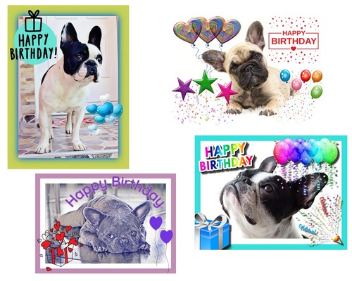 Happy birthday french bulldog - french,