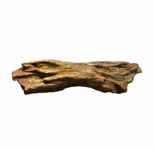 Genuine 42g prehistoric - genuine,
