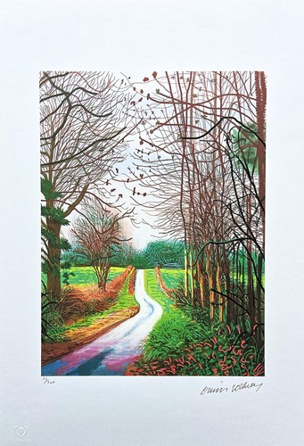 David hockney the - david,
