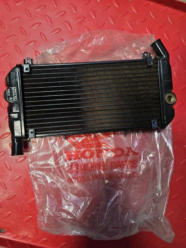 Radiator lower main vf1000 - main,
