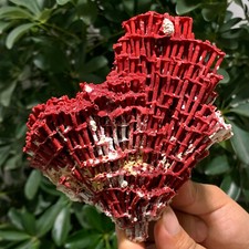 120G Natural Red coral reef Cluster Ocean Mineral Crystal Specimen